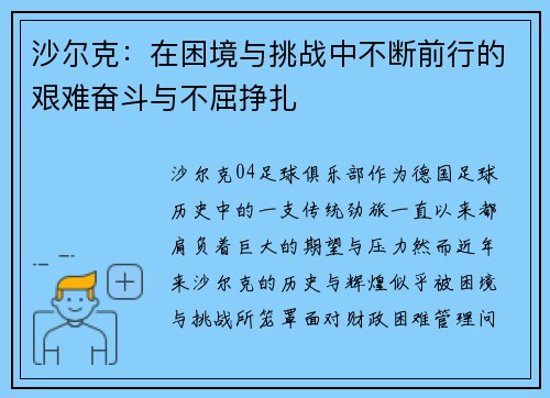 沙尔克：在困境与挑战中不断前行的艰难奋斗与不屈挣扎