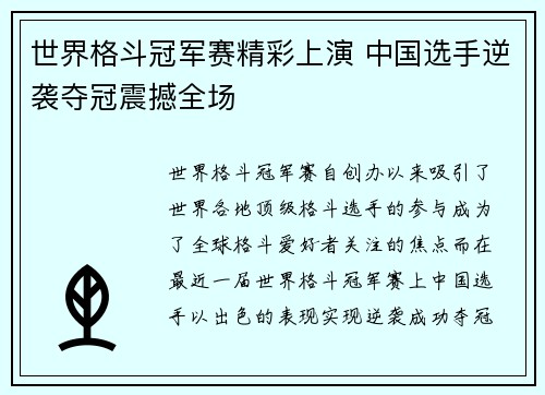 世界格斗冠军赛精彩上演 中国选手逆袭夺冠震撼全场